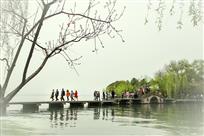 赏春光