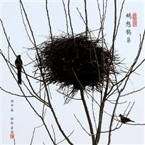 鸠想鹊巢