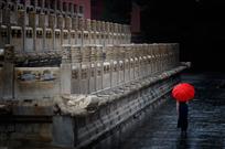 在雨中
