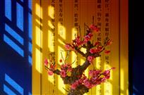 窗影 . 梅花