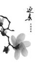 玉兰迎春