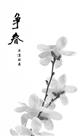 玉兰争春