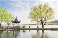 《一袭红衣醉春风》