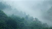 烟雨笼半山
