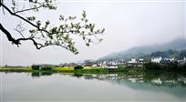 《乡间水韵》