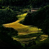 土楼天梯
