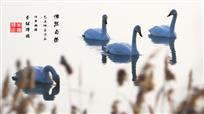 怡然自乐