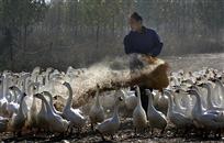 《牧魂》