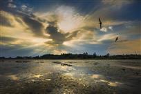 黄盖湖畔好风光