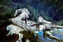 宝骏奔腾跃原野