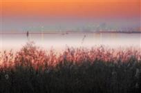 阑珊灯火映巢湖