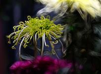 《白沙红巾公主》
