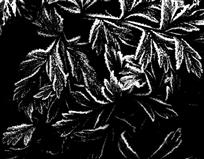 《霜染》
