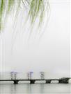 春雨