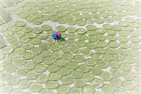 《阳光圆舞曲》