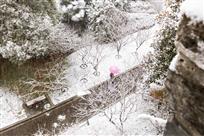 雪中小桃园