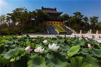 莲花池