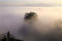 梦幻天堂