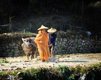 《大地父母》