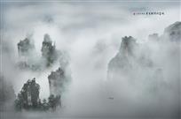 晓雾识得捕鱼翁