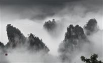 山岚飘舞迎雁归