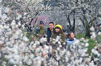 花海人潮美生态