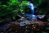 山自空寂水自流