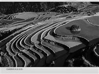 加榜梯田风光美景
