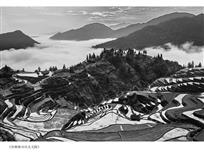 加榜梯田风光无限