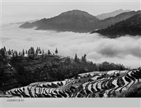 加榜梯田雾景