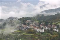 茗岙梯田