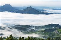 金山晨雾