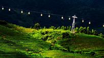 大山的情怀