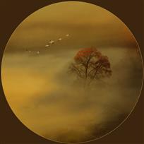 《秋日胜春朝》