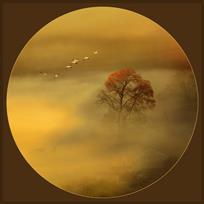 《秋日胜春朝》