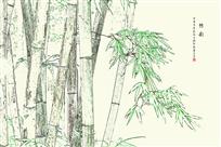 竹之魂（组照4张）