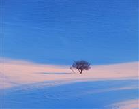 雪原破晓