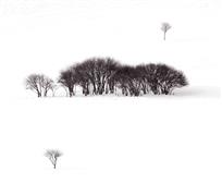 林与雪之水墨 一