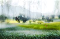 梦回故乡