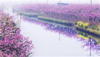 香溪