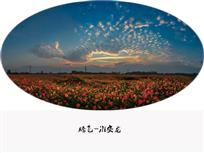 腾飞吧，淮安龙