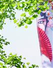夏日幻情