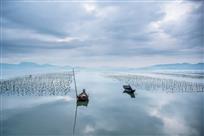 海天一色