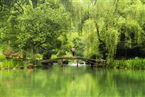 春到湖边