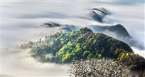 春深似海