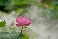 《风回荡流雾》