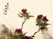 国色天香牡丹图