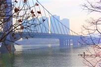 《只原生处有人家》