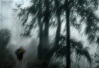 春雨潇潇