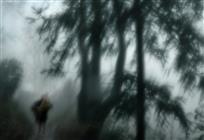 春雨潇潇